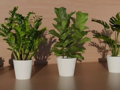 4K High Polly Pot Plants Pack 3D model