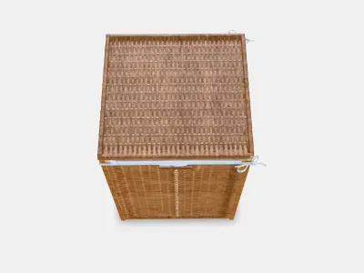 BRANAS Laundry basket with lining Low-poly 3D model