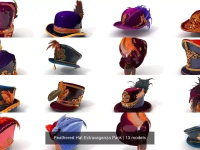 Feathered Hat Extravaganza Pack 3D Model Collection