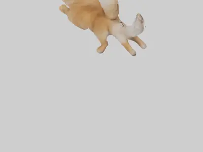 Pomeranian jumping model Low-poly 3D model