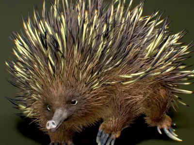 Echidna  3D model