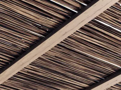 Ceiling wood sang thin branch n1 3D model