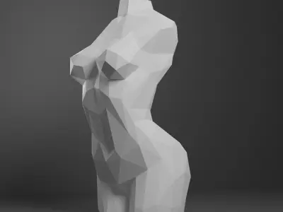 Low Poly Female Torso 3D print model