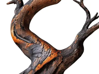 Decorative Rustic Old Twisted Weathered Dry Tree Branches 3D model