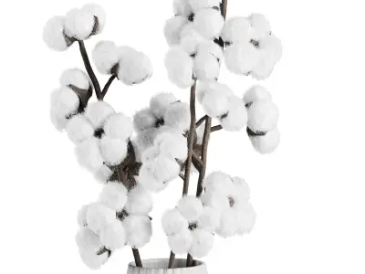 Cotton Flower Bouquet16 3D model