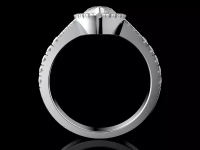 Gold N1579 3D print model