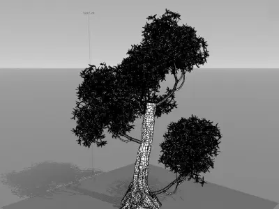 Decorative Out Door Tree Low-poly 3D model