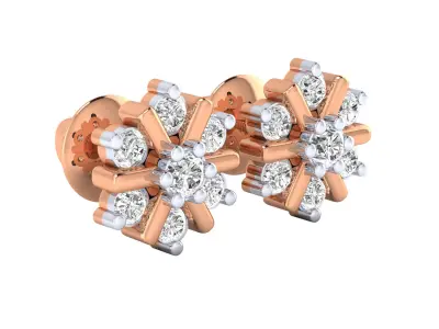 Women Earrings 3D print model