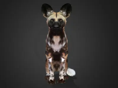African Wild Dog Realistic Animated 3D model