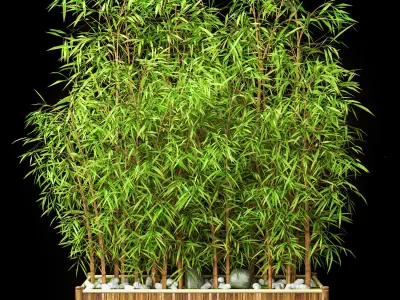 Outdoor Plant Set 3D model