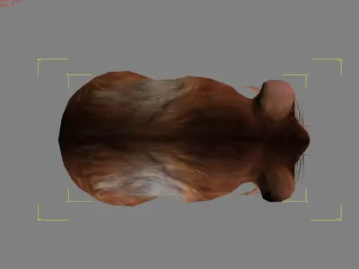 Hamster Animal  Low-poly 3D model