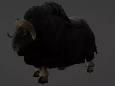 Musk Ox 3D Model Ultra Realistic Arctic Animal Low-poly 3D model
