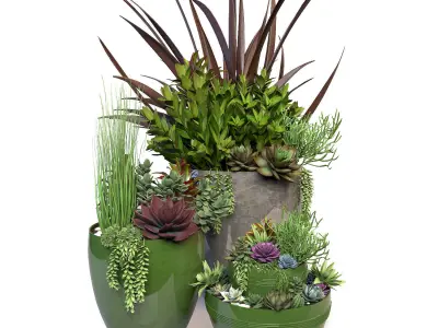 Plants 3 planter with succulents in it 3D model