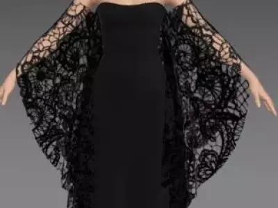 LACE FABRIC BLACK DRESS MATTE LOOK FASHION STYLE 3D model