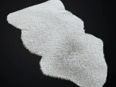 Sheepskin Ludde 3D model
