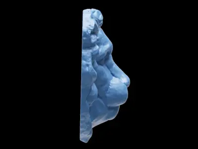 3D printable Lion Head abstract and detailed version 3D print model
