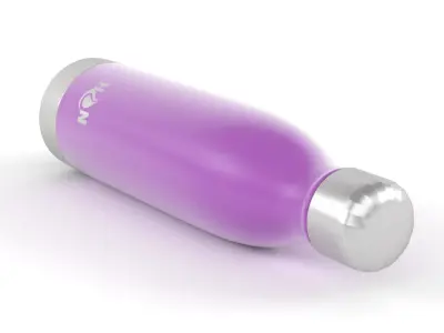 Water Bottle 3D model