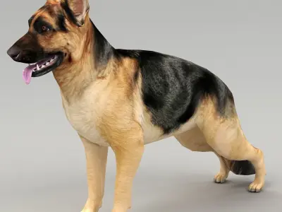 GSD DOG  Low-poly 3D model