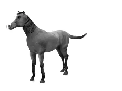 Horse aniamtion Low-poly 3D model