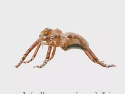 Spider Monkey Stylized Creature Model Low-poly 3D model
