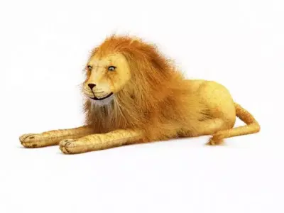 Yellow Lion Toy 3D model