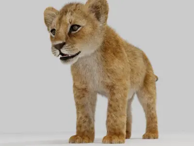 Young Lion Cup 3D model