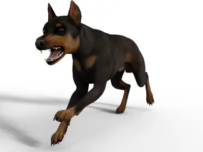 Dobermann Dog - Full Rigged  3D model