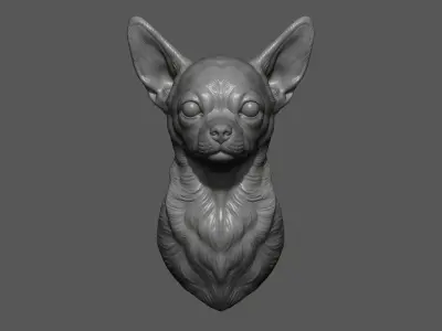 Chihuahua bust 3D print model