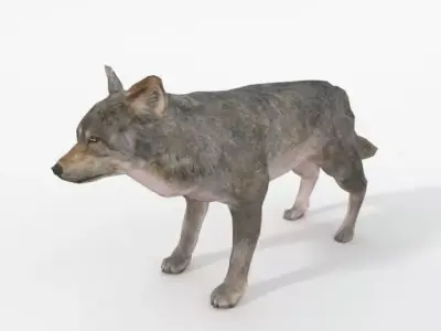 Wolf Animal Low-poly 3D model purchase