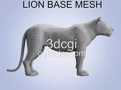 Lion Big Cat base mesh 3d model Low-poly 3D model
