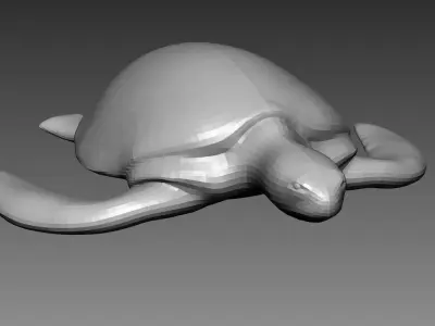 Turtle base mesh for Zbrush 3D model
