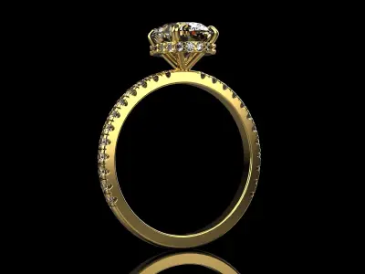 Oval Cut Ring N46  3D print model