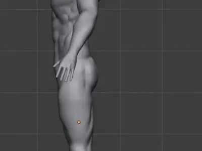 full man muscles  3D model