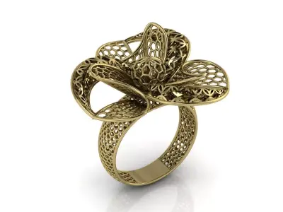 Ultra Vision Ring Jewelry 3D print model get