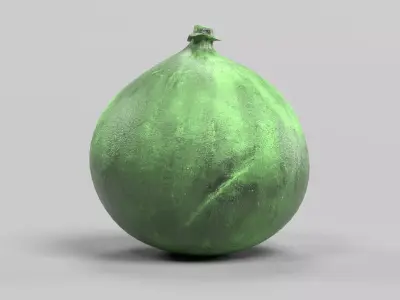 -Fig - Green- 3D model