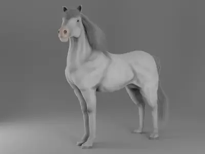 Horse 3D model 32