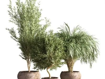 indoor plant stand 20 3D model