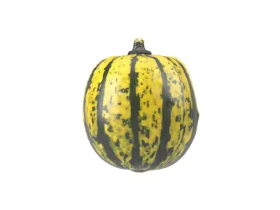 Photorealistic Decorative Gourd 3D Scan 2 3D model