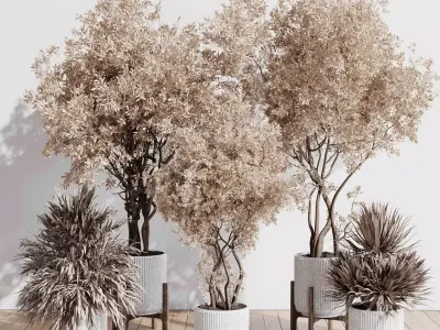 Indoor plant set 423 tree autumn with dried plant 3D model