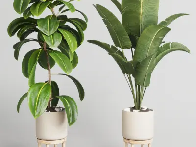 collection Indoor plant 30 -wood vase Low-poly 3D model