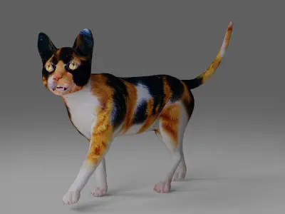 Calico Cat Rigged and Animated V4 in Blender Low-poly 3D model