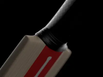 Gray Nicolls Cricket Bat 3D model