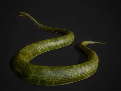 Boa - Game Ready three snakes Low-poly 3D model