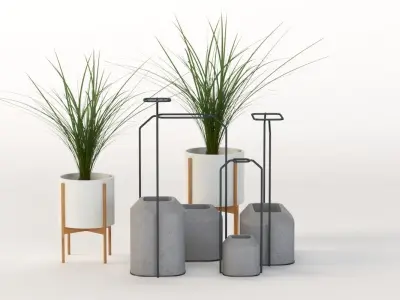 Scadpad Mini Planters Group for Table Top Centerpiece Decoration 3D model