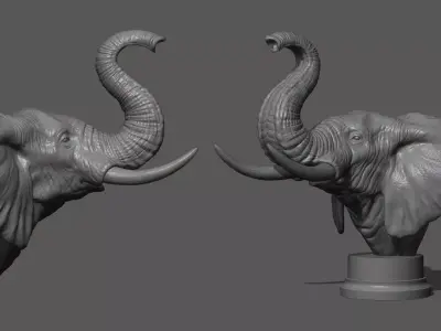 Elephant raised its head 3D print model