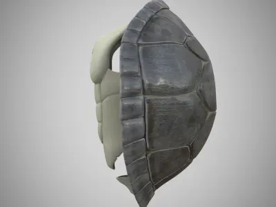 Turtle gray shell Mock-up 3d Model 3D model