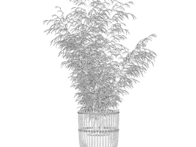 Bamboo in modern flower pot 3D model