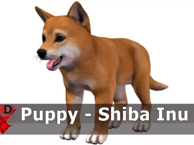 Puppy - Shiba Inu  Low-poly 3D model