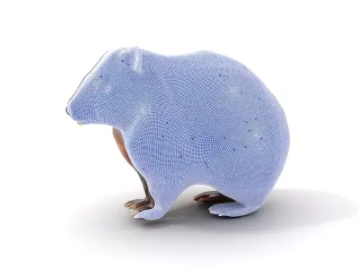 Fuzzy Wombat Critter model pack Low-poly 3D model