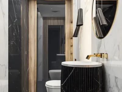 Guest Bathroom in Luxury style 3D model